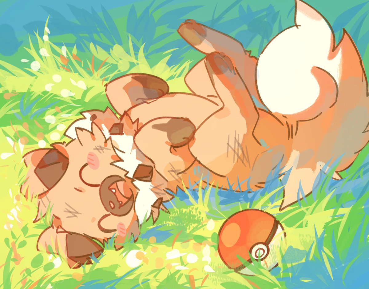 세타 セタ (@seta629211) on Twitter photo 