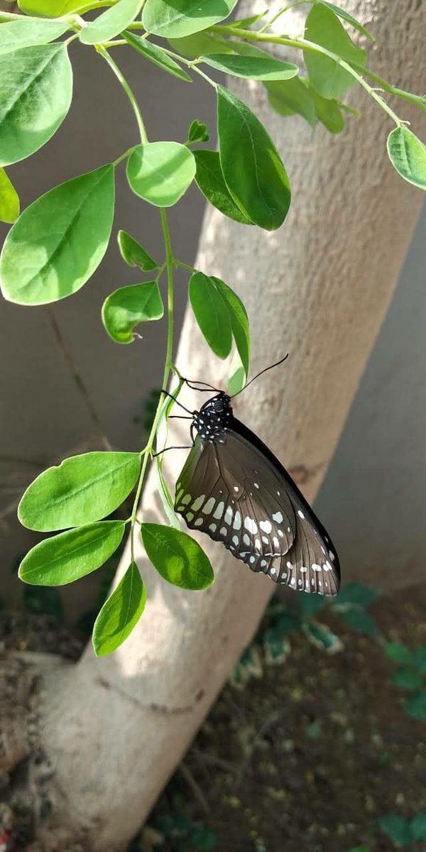 खूबसूरत 🥰