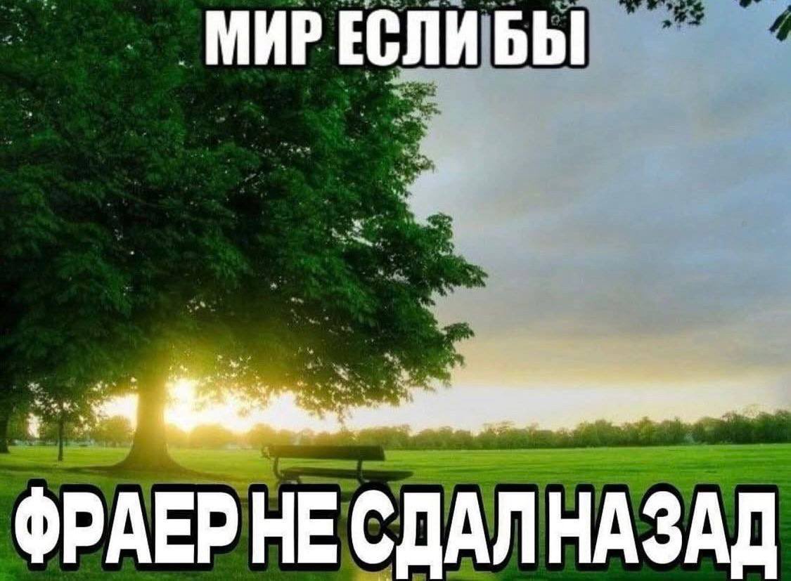 томичка tweet media