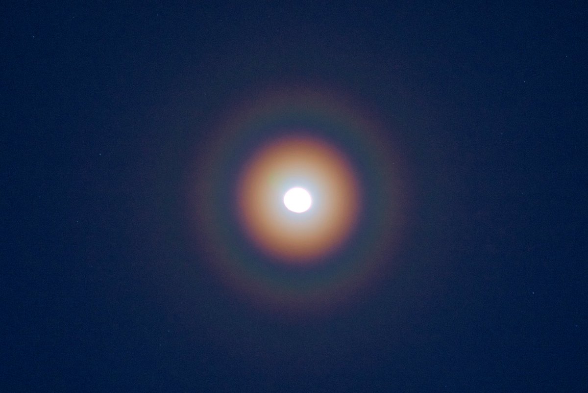 titanium200's tweet photo. 六角形の花粉光環

地平線付近の太陽の外側にかかる花粉のリングですが、六角形に変形していました。その後、月にもリングがかかっていたので撮影しました。月の高度は６０度くらい。

撮影地：千葉県南房総市

＃花粉光輪
＃悪魔のサークル https://t.co/gNrrfzfk2Z