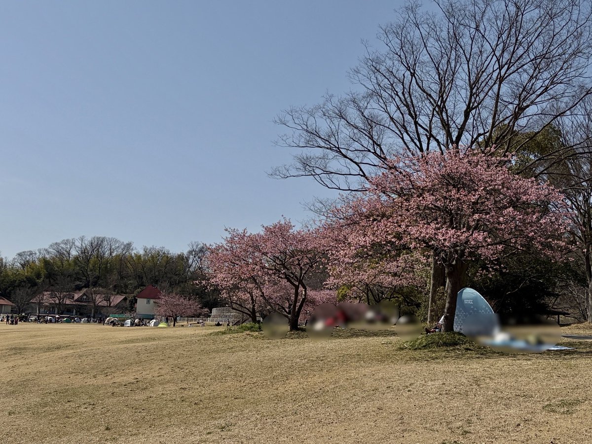 こどもの国 (@kodomo_no_kuni) / Posts / X