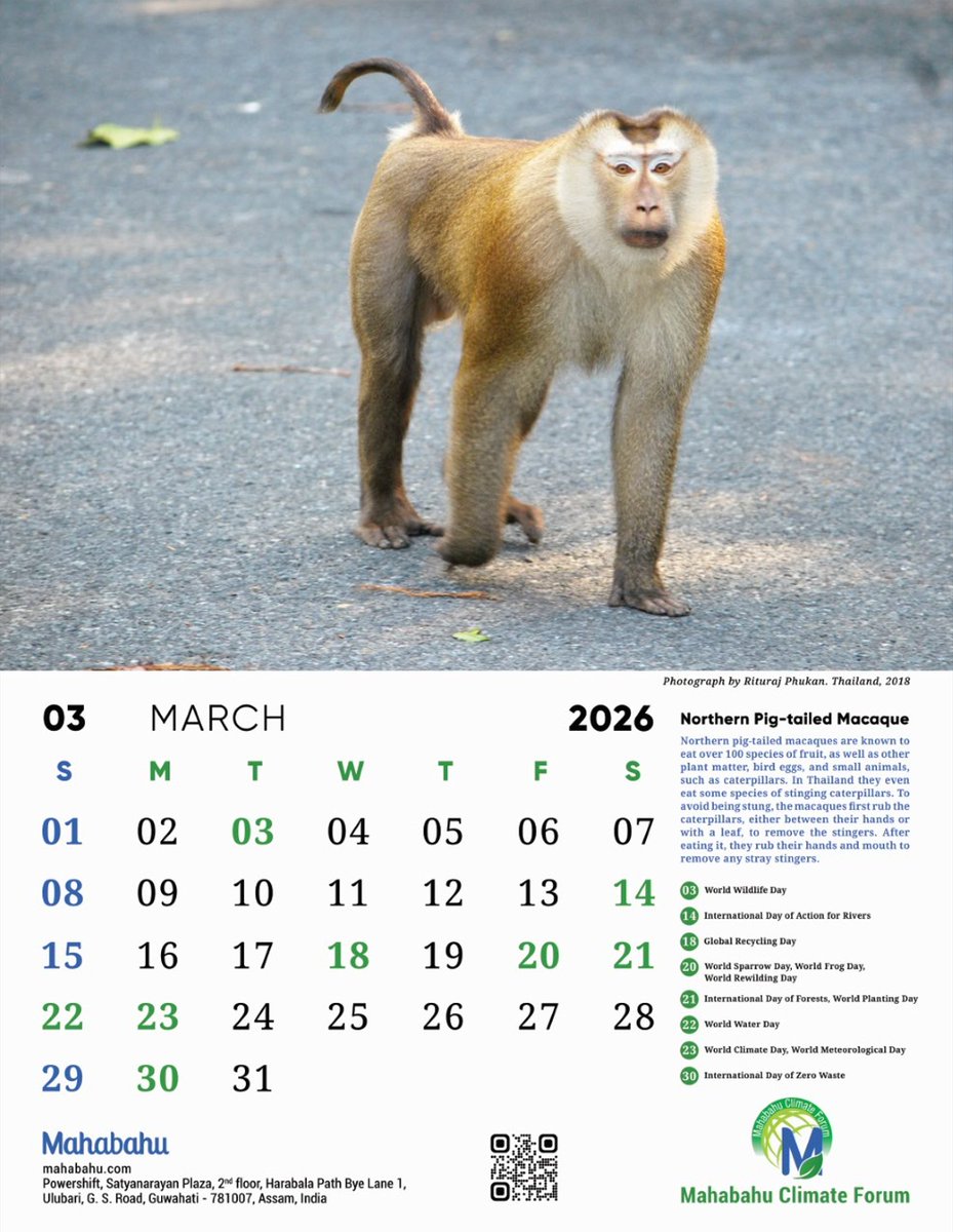 Rituraj Phukan tweet media