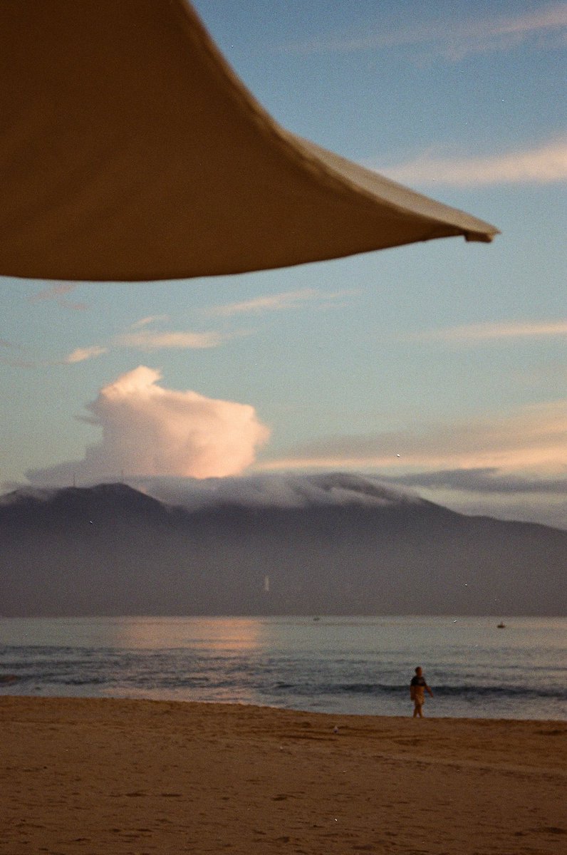 みさき(song_for_solitude) tweet media