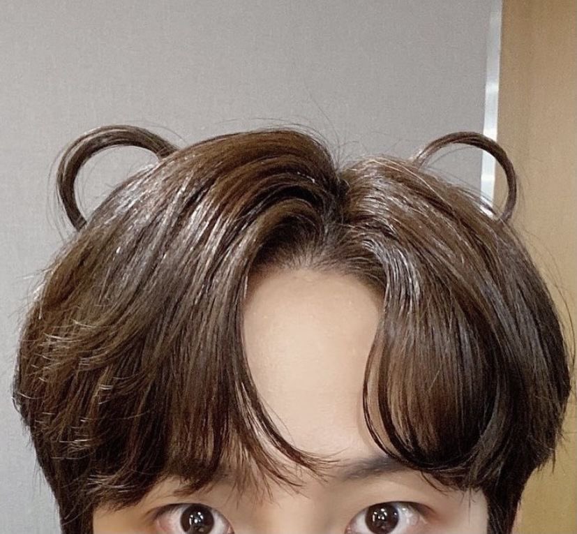 bearlyjngho's tweet photo. So bare with me please, this is my first attempt at a hybrid AU and working with tags so if you see anything wrong please let me know! 
 
Had another JNGSNG idea since I’m a  sucker with JH with bear ears 

Tags:
Hybrid 
Brief Mention of ����&amp; slight injuries 
Brief Mention of 💉 https://t.co/M3bUzaVuyq