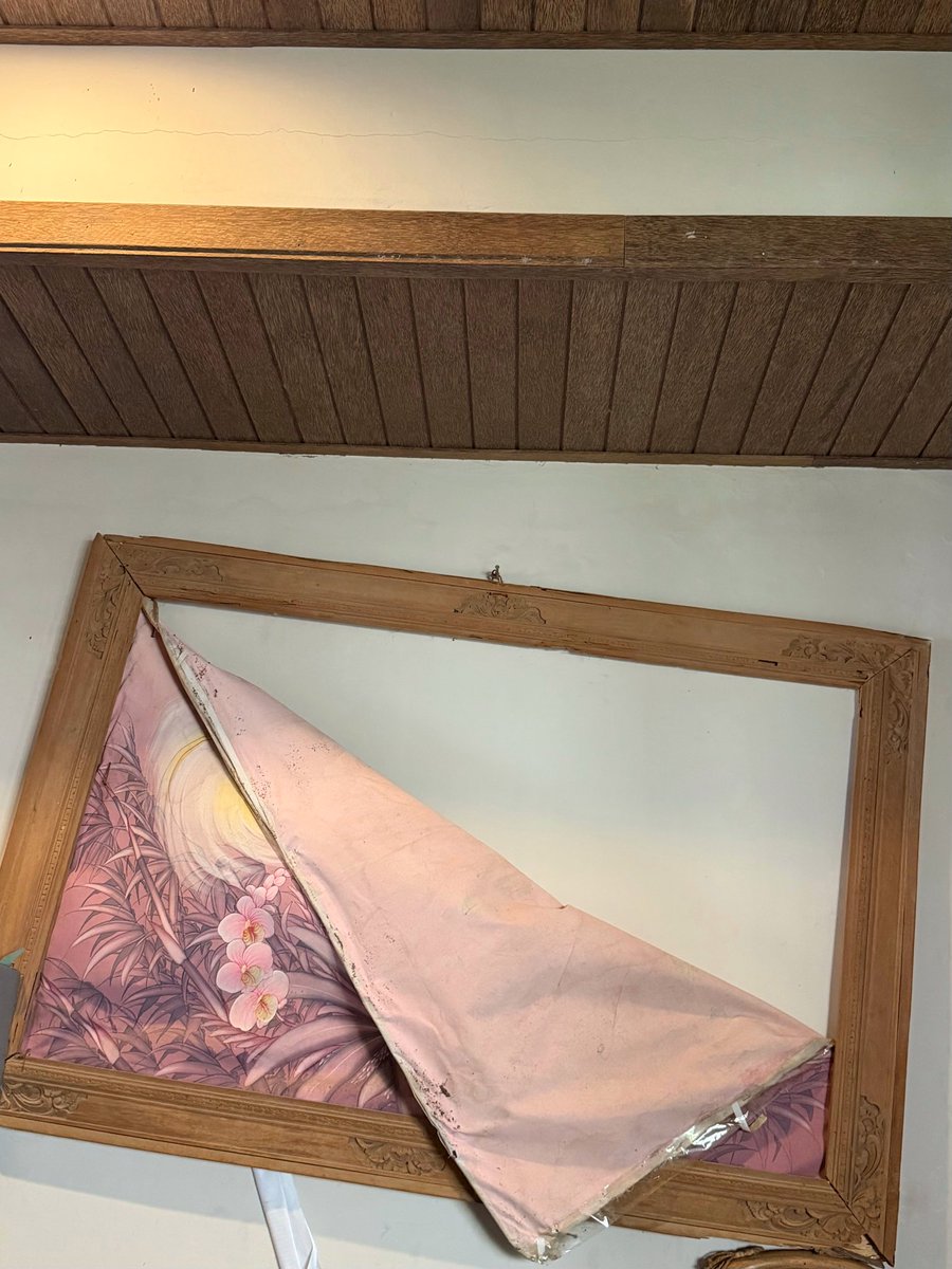 Soya 🐱 Soju 💛 Somi 🤎 tweet media