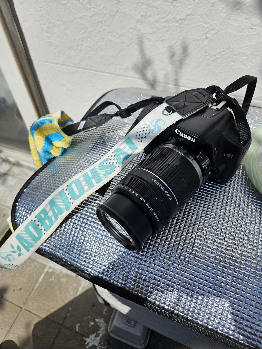 私の相棒 Canon Kiss X2 亡父が22歳の誕生日に「成人の時にプレゼント