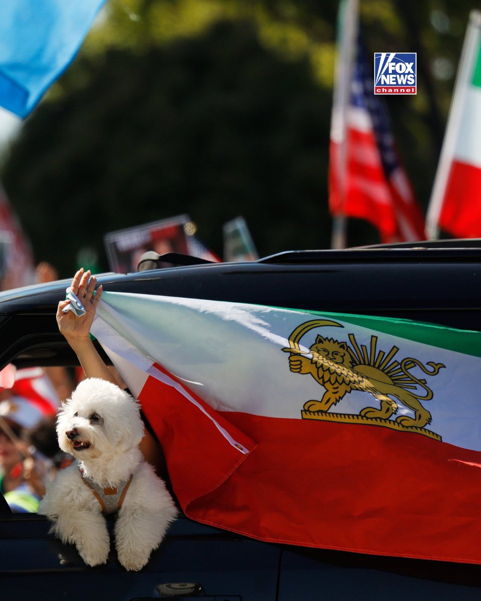 Fox News tweet media