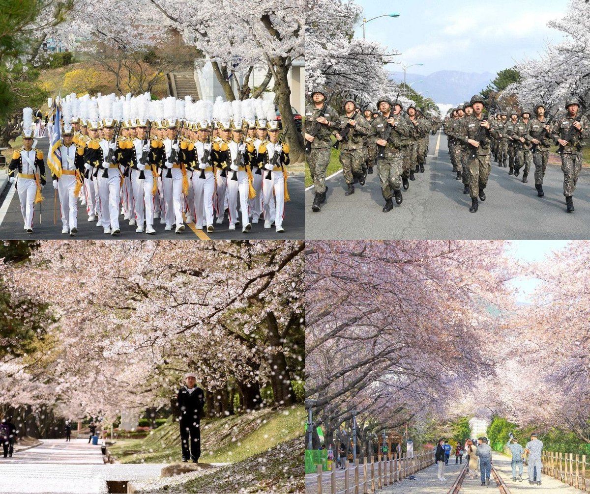 Korean Topik tweet media