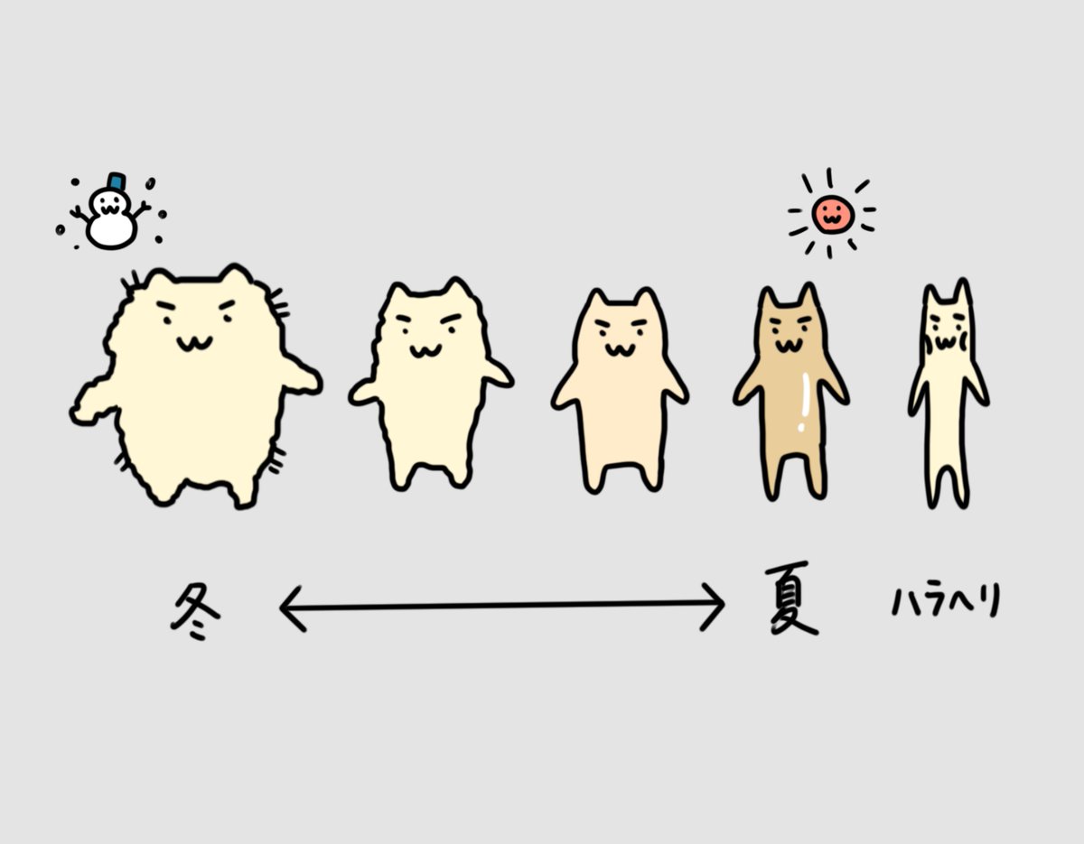 ずもち (@zumoti4) / Posts / X