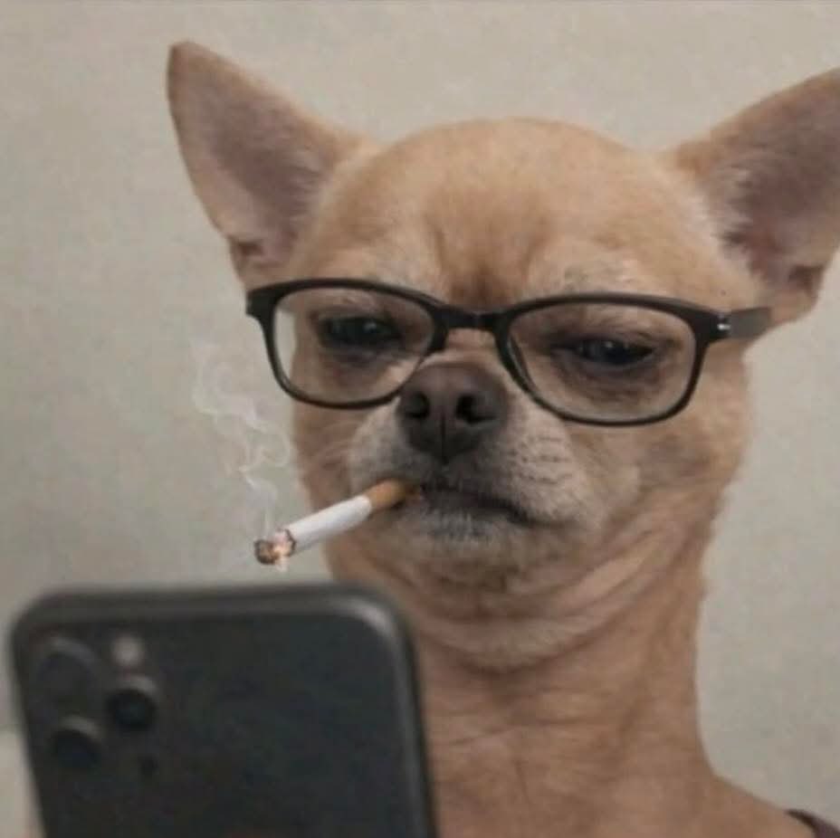 osteo tweet media