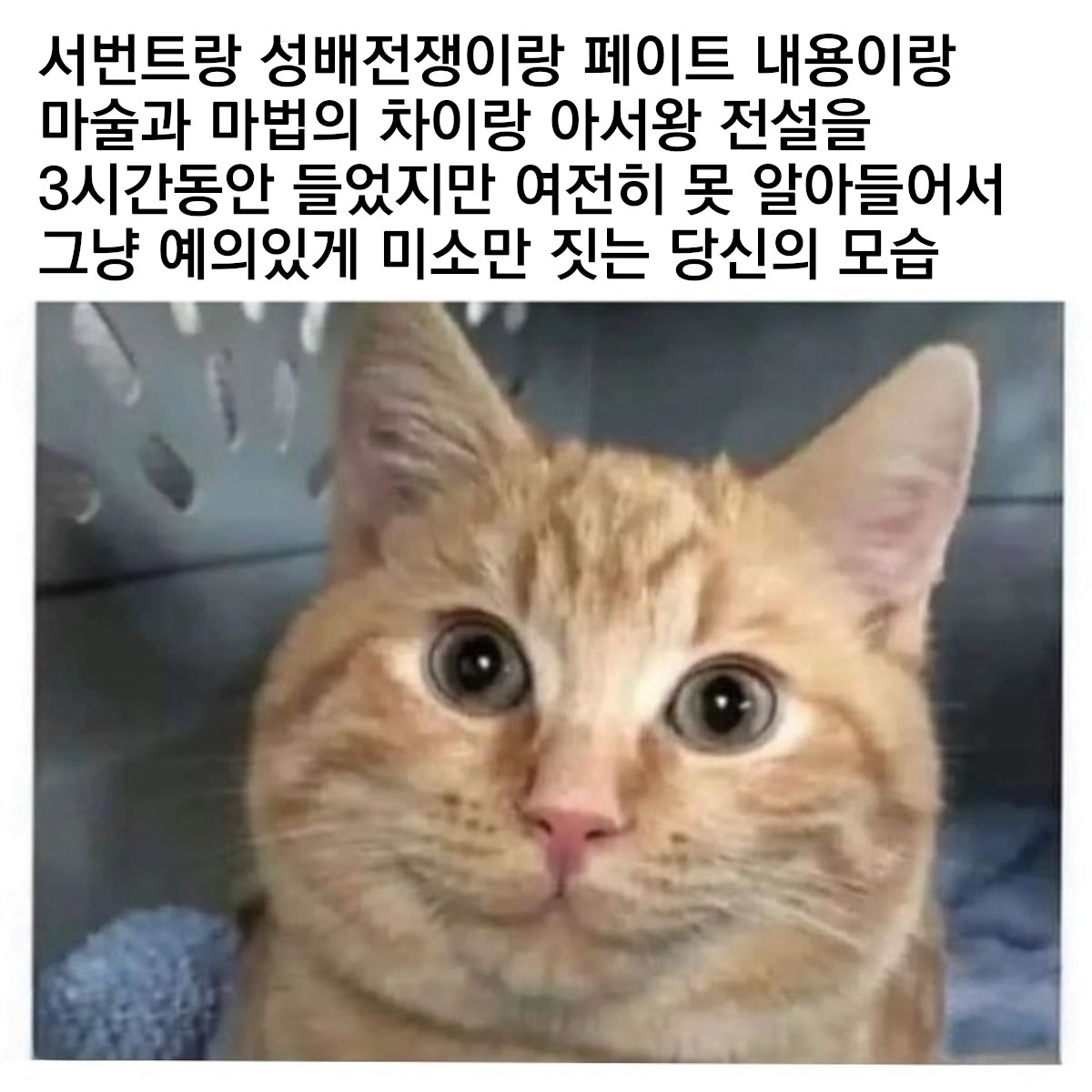 곽티안 tweet media