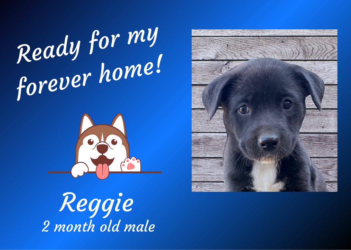 K-FROG Radio tweet media