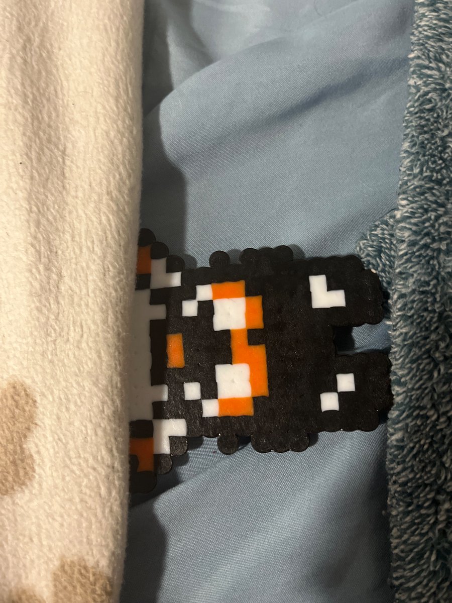 Ｐａｎｄｉｌｌｅｒｏ　Ｐｅｒｒｏ🇪🇨 #BLACK LIVES MATTER tweet media