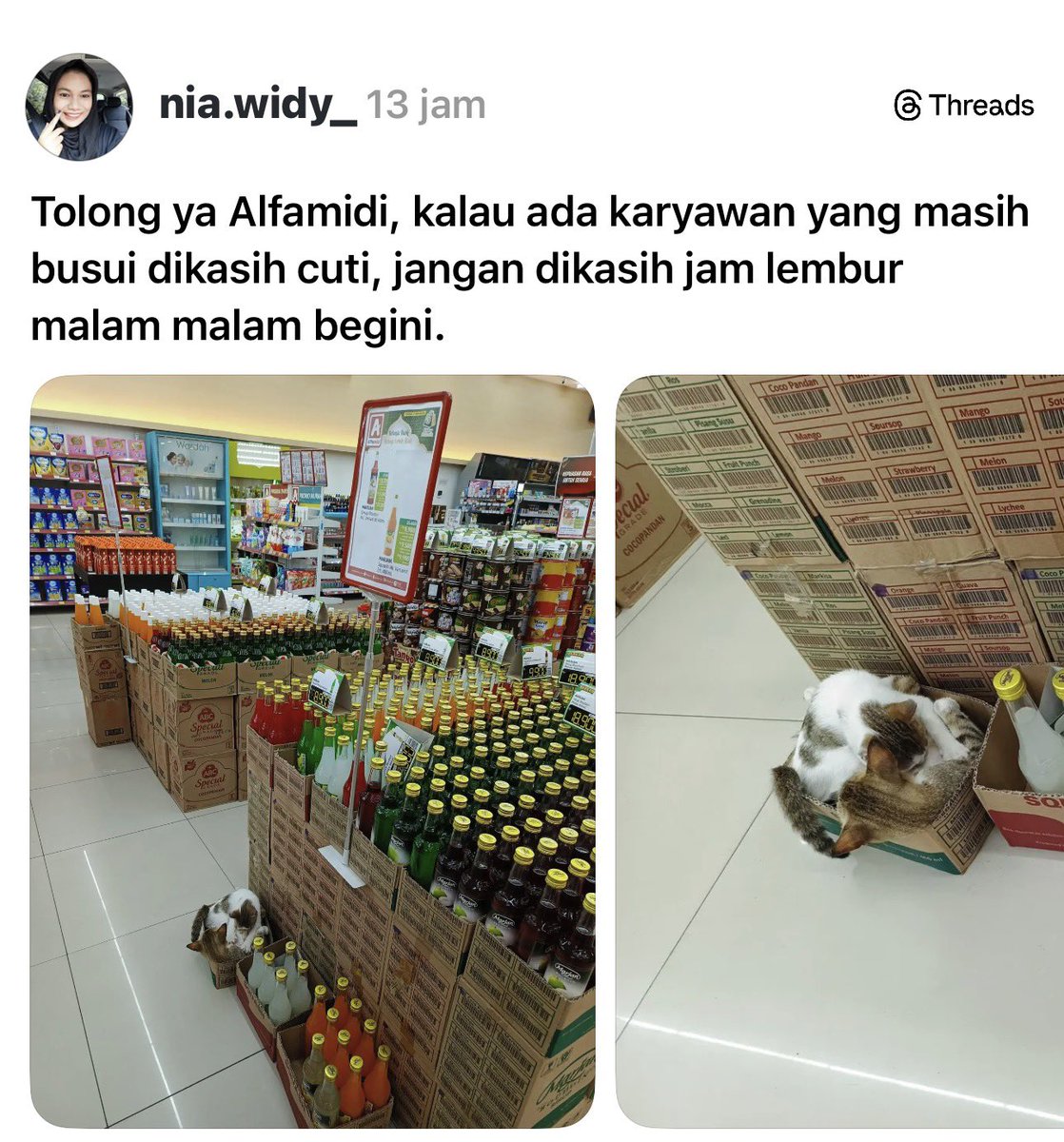 sosmedkeras's tweet photo. Lucu https://t.co/ltBxVrHBsG