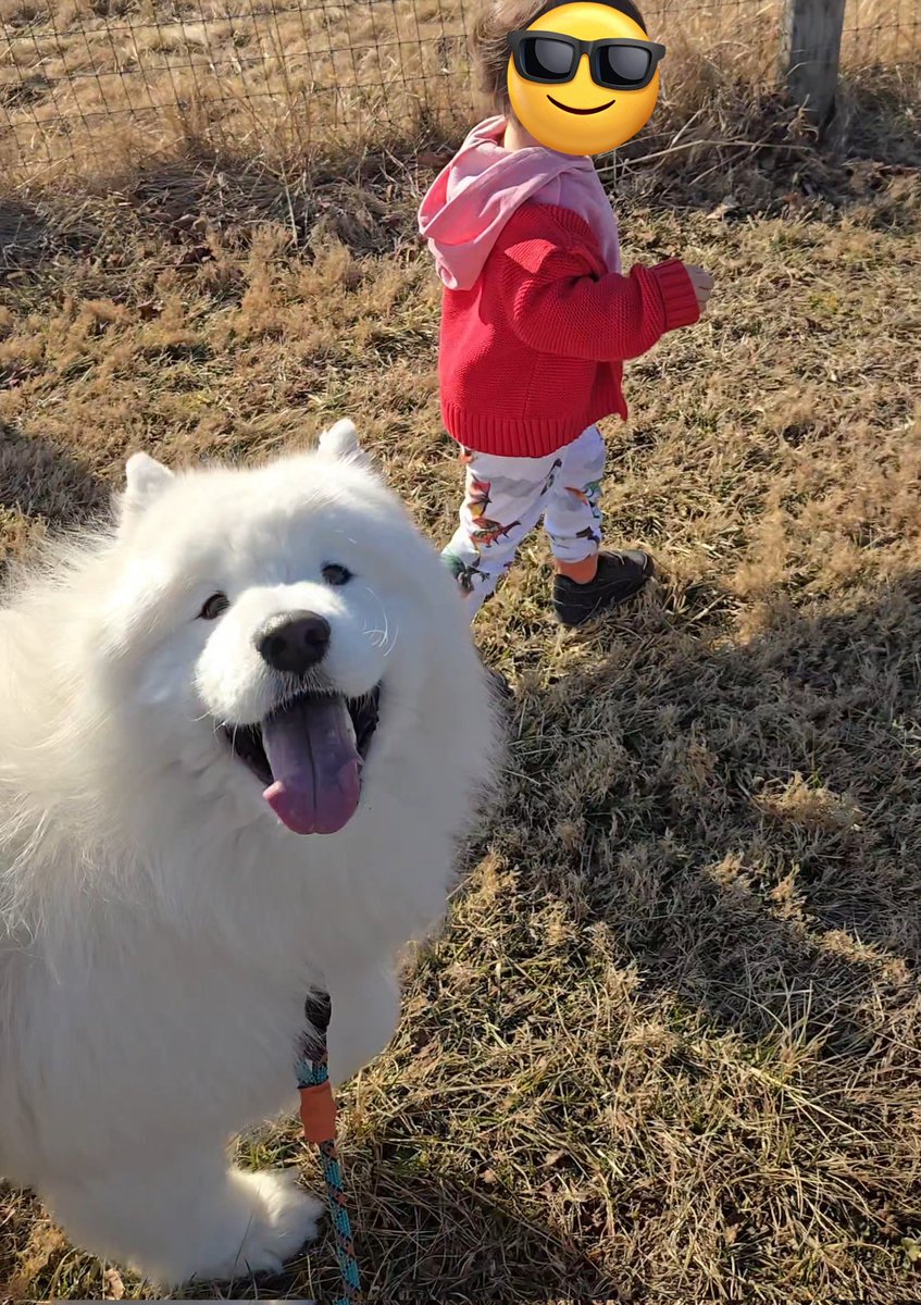 seto (@setox8) / Posts / X