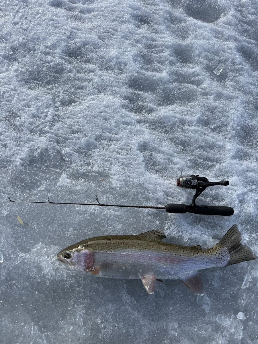 BeauKnows43's tweet photo. Another Season in the Books. #IceFishing https://t.co/z4AlZlaEWH