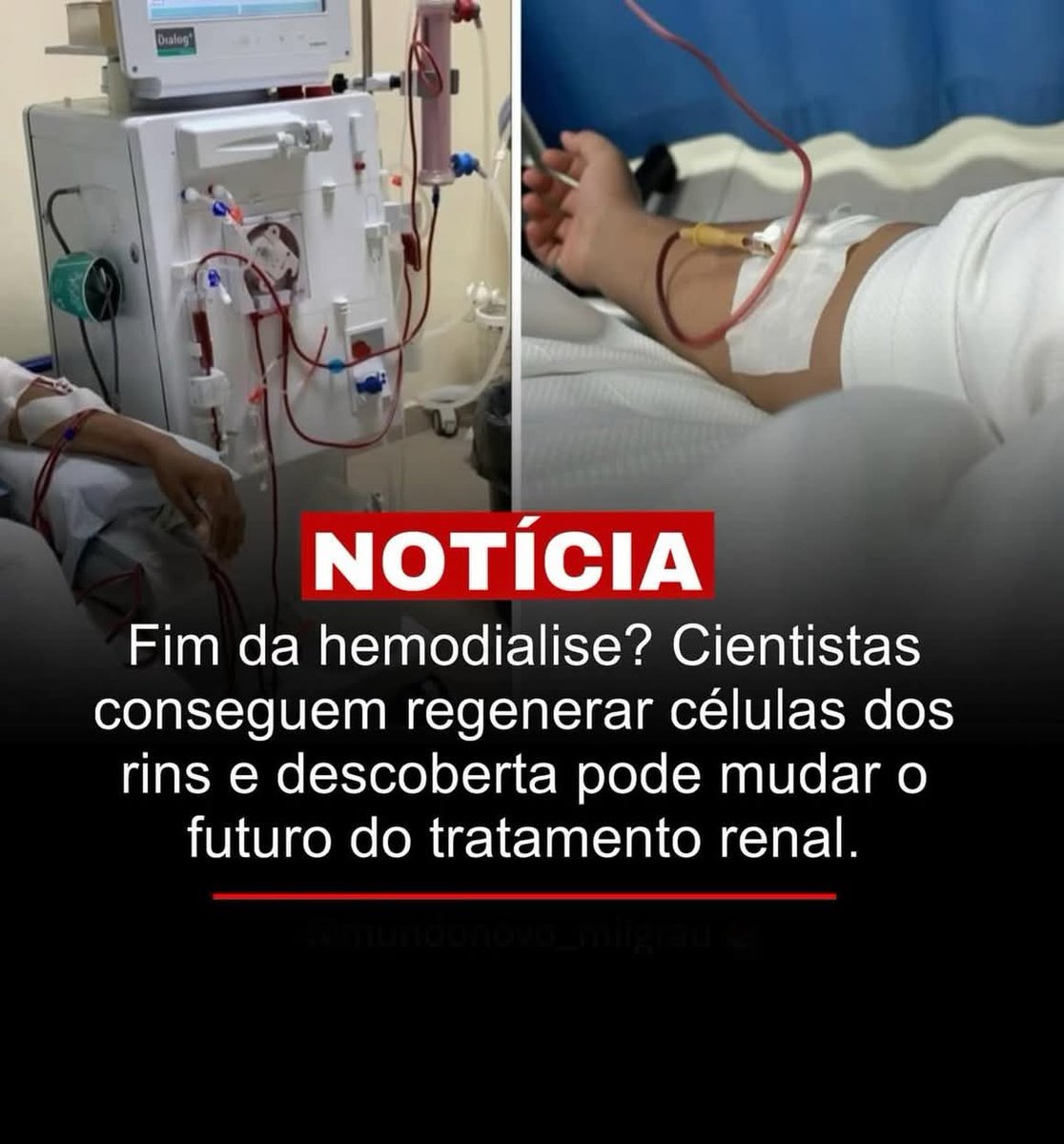 Noraney Flores (@noraneyflores) on Twitter photo 