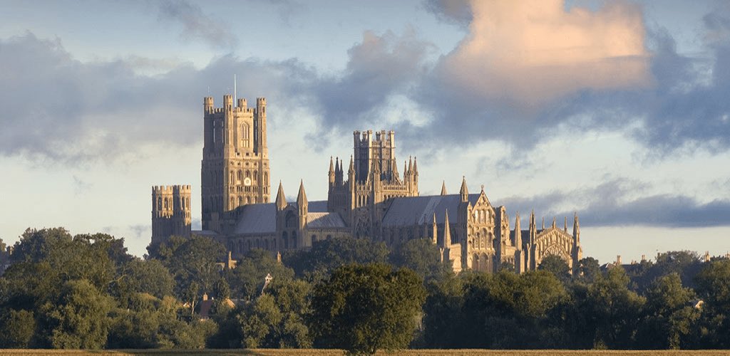 🏛 𝐒𝐭𝐞𝐯𝐞𝐧 🏛 tweet media