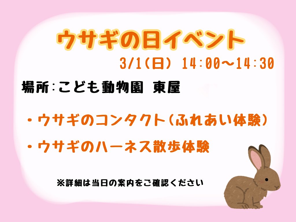 3月3日は”ミミ”で「ウサギの日」🐰✨ ということで、少し早いですが