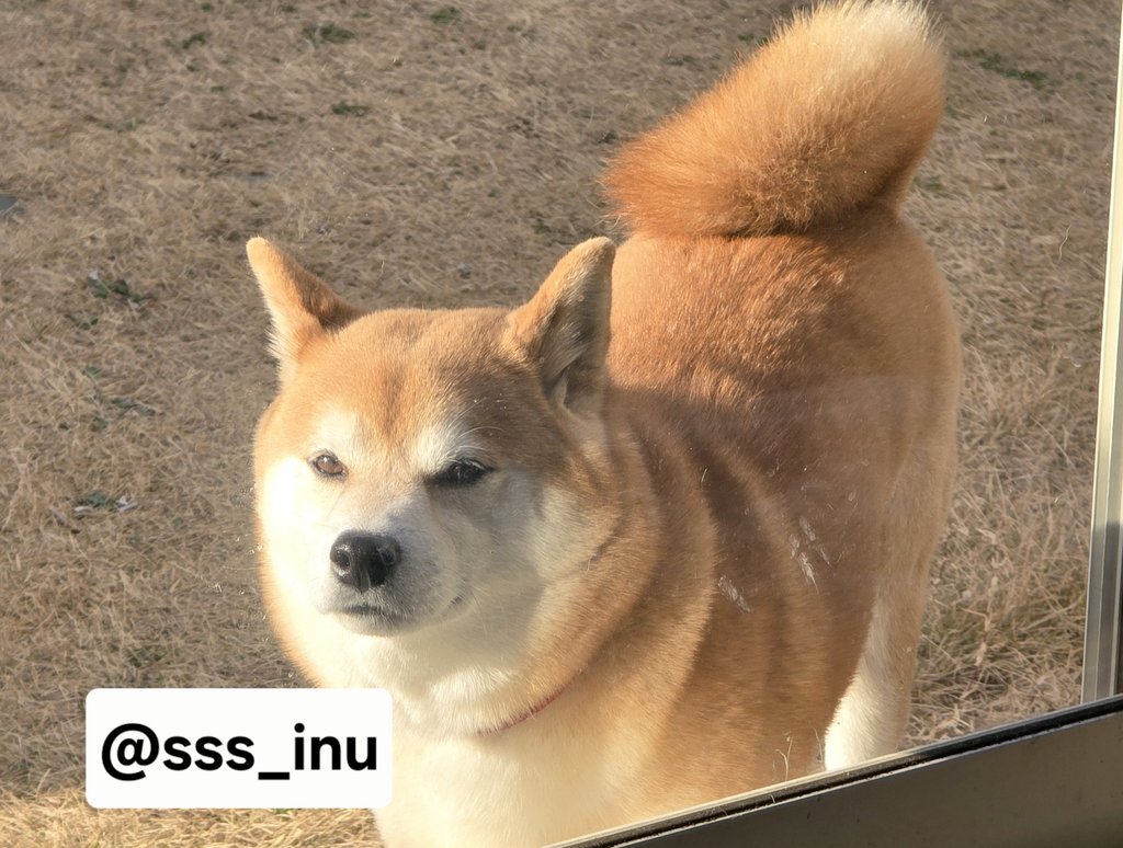 おはよ～～☀️☀️