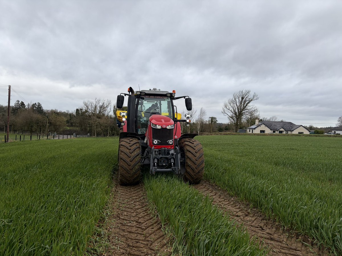 Conall Moore tweet media