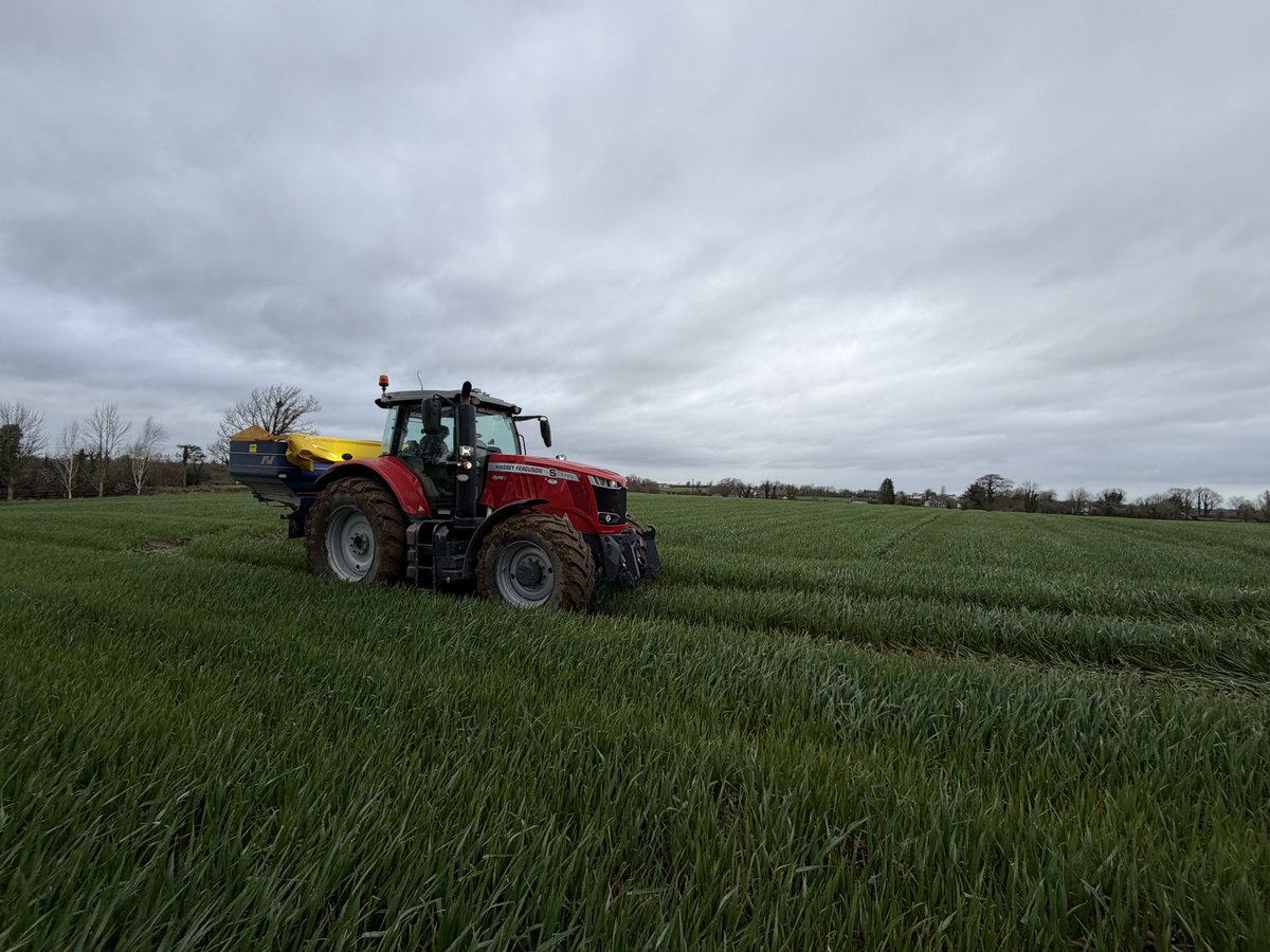 Conall Moore tweet media