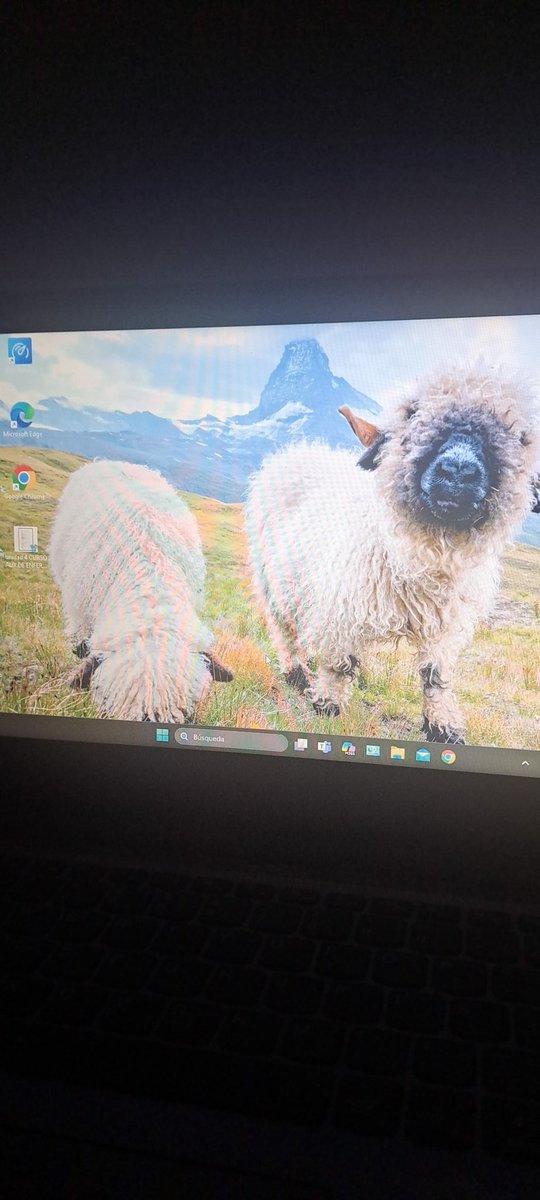 Tengo la computadora configurada para que se cambie el fondo automáticamente,mi novio, cada vez que la prendo mira , me pregunta xq lo puse y apina de lo que piensa el jaja según el representación de nuestros caniches.