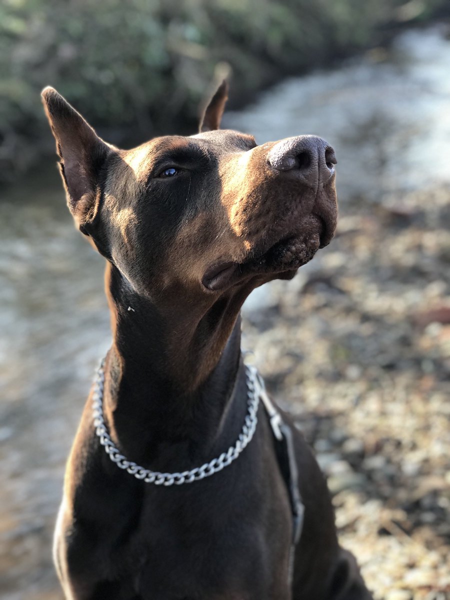 sheilaMol tweet media