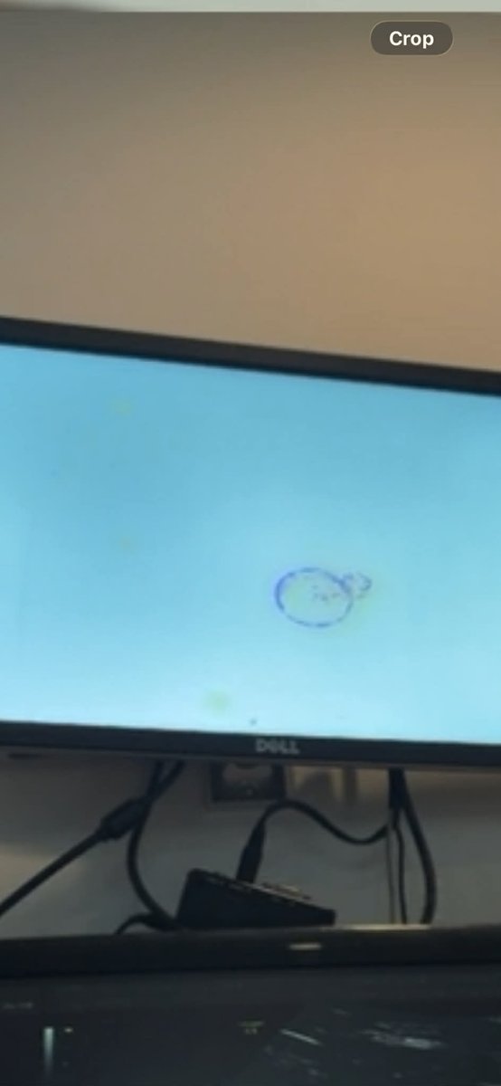 Surrogacy in Canada Online tweet media