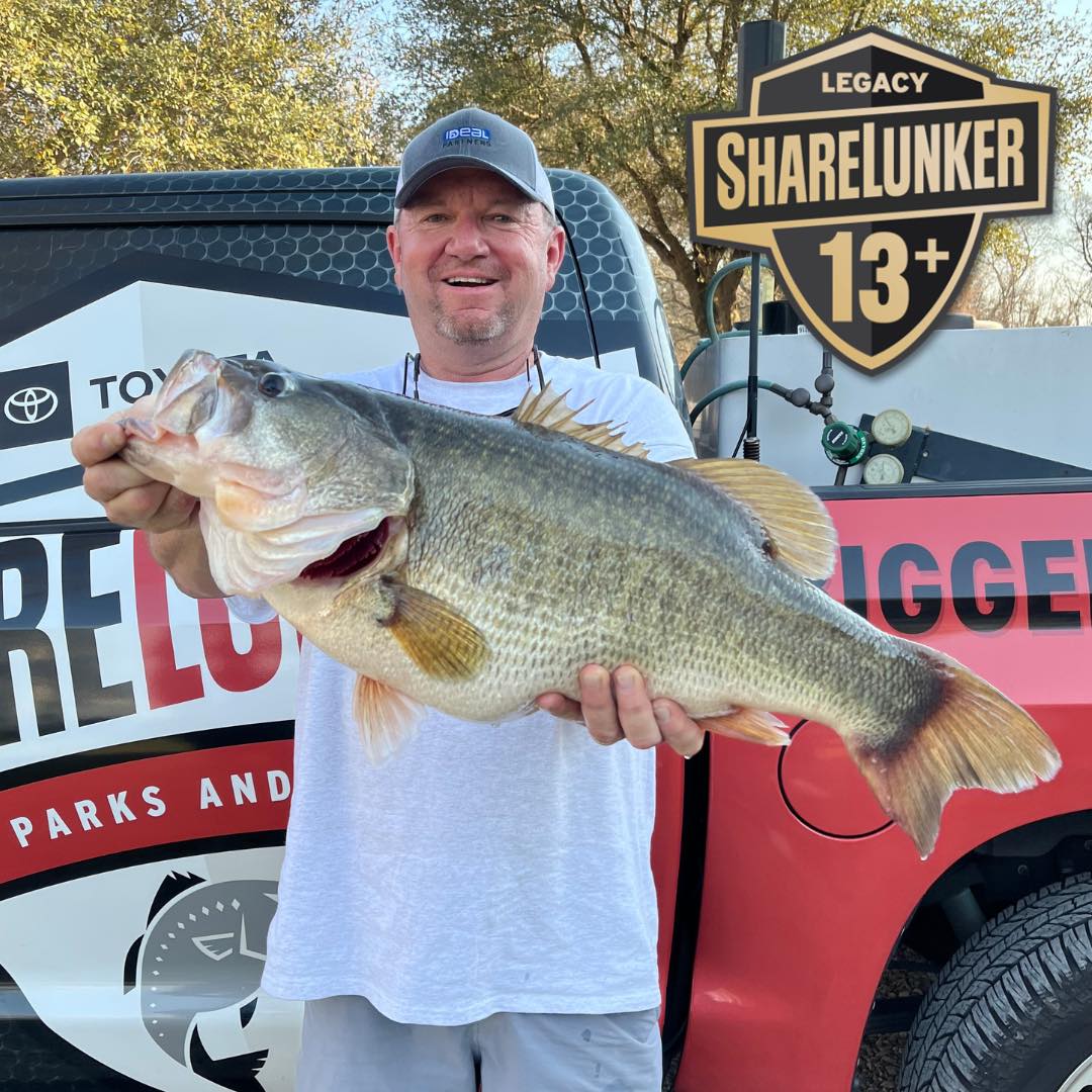 TPWD Fishing tweet media