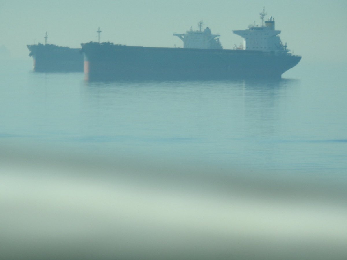 yeah it feels like everything is dying and it will all collapse within my lifetime and there’s nothing I can do about it. birds I saw today and tankers