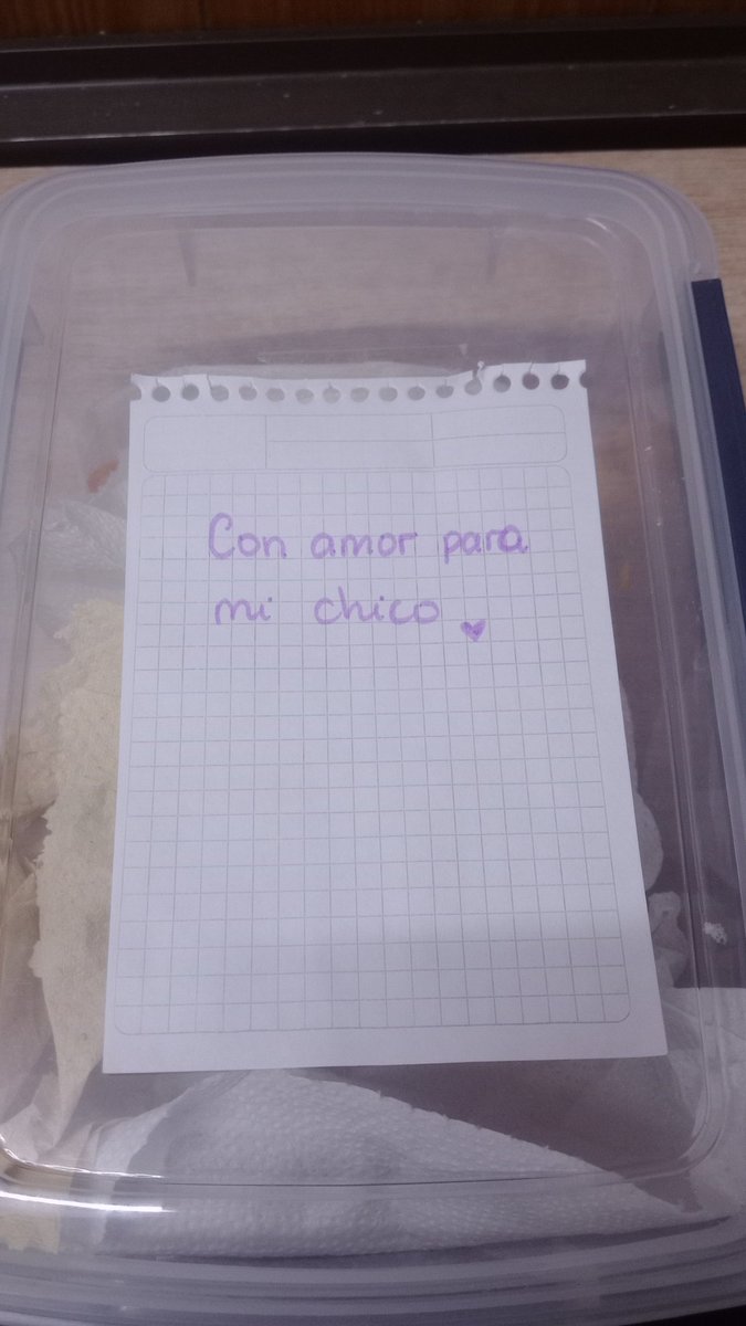 Enfenfermo's tweet photo. La vianda que me manda mi chica ✨❣️ / la que me manda mi madre 🔪⚰️ https://t.co/ekbO6PhFKz