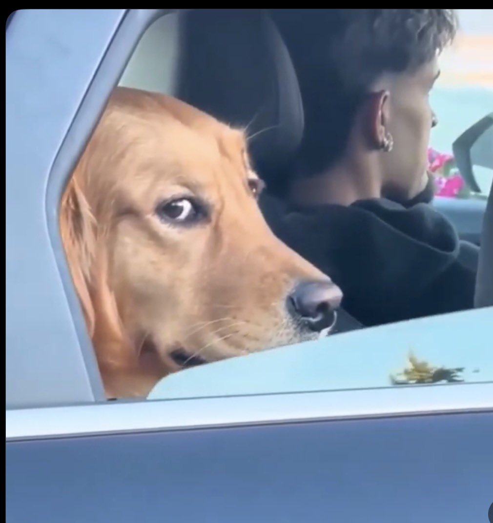 Big Wavu tweet media