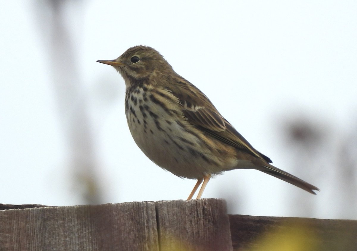 Rob Andrews tweet media