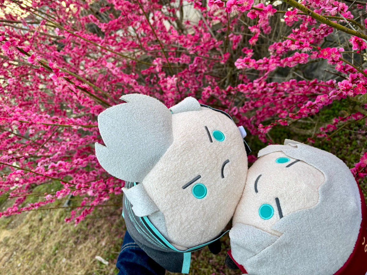 でっけぇ🤤🤤