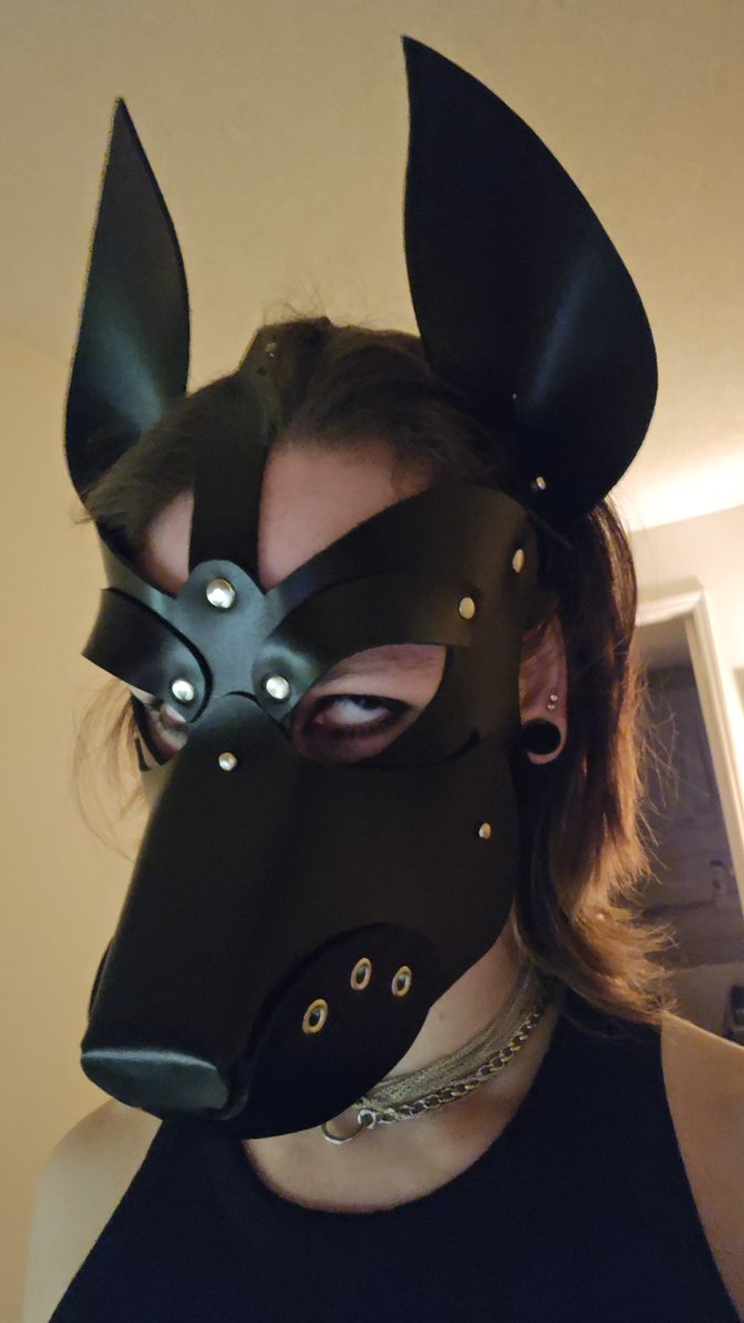 Lace 🎀 tweet media