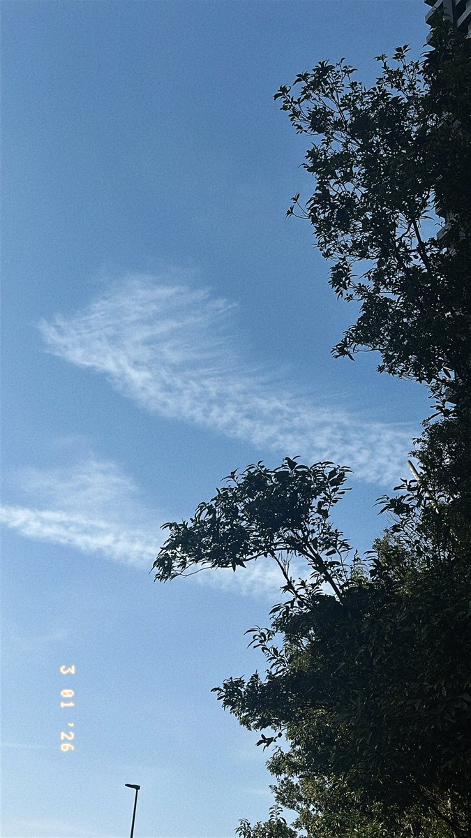 おはよございます！
朝ピラして昼ピラしてきます！笑
pilates三昧❤️‍🔥