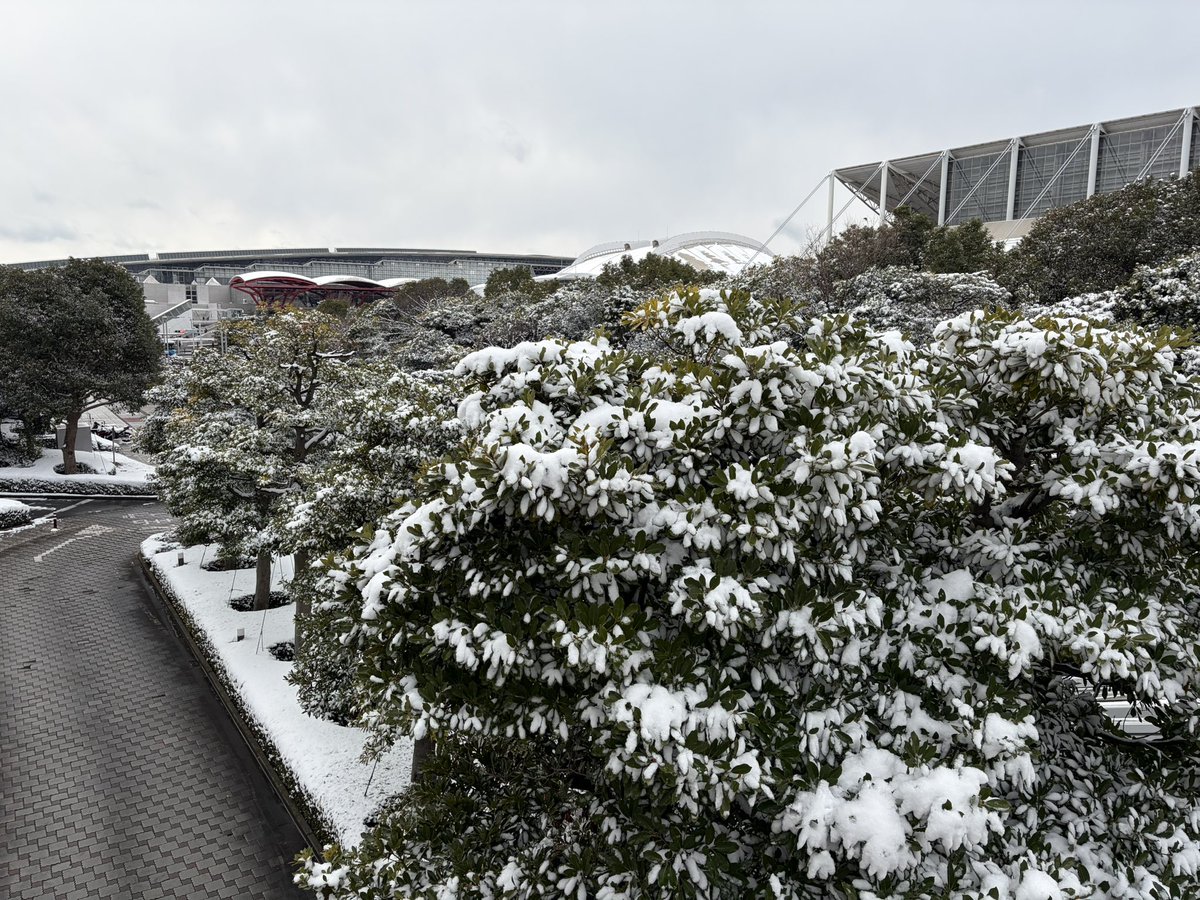 2月は幕張で冬ワンフェスと、金沢みんトラ遠征がありました。どちらも