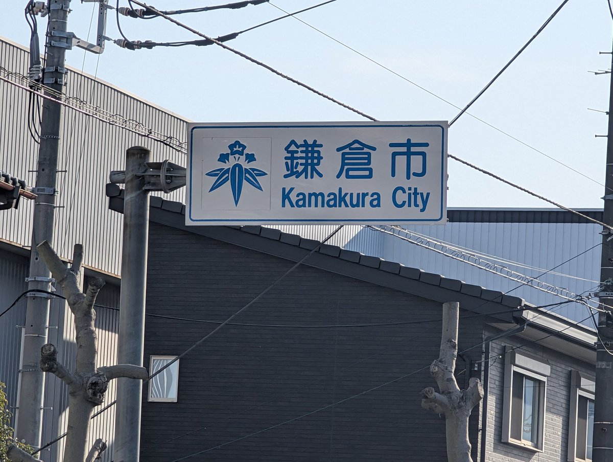 せっかくなので寄り道 高徳院で 鎌倉の大仏様を見ました いつ見ても