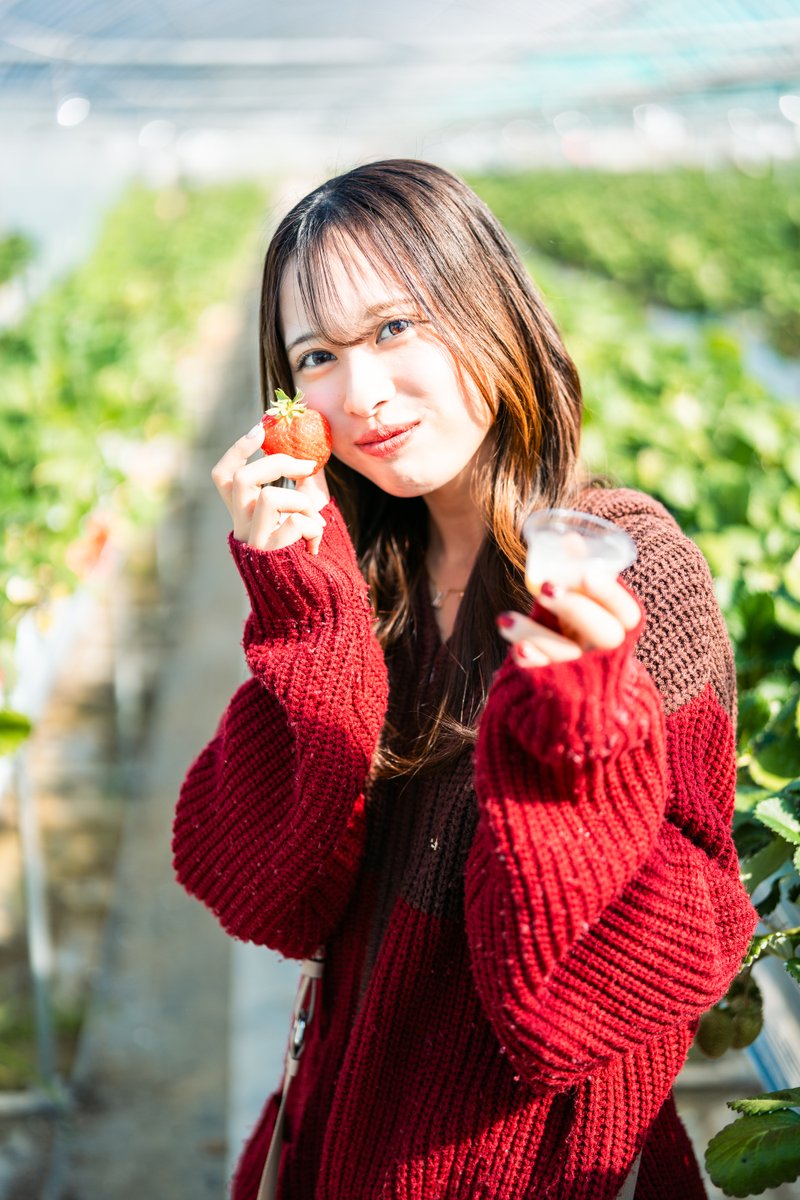 いちご🍓狩りの後は、今年初めての菜の花でした🌼 📅 2026年2月