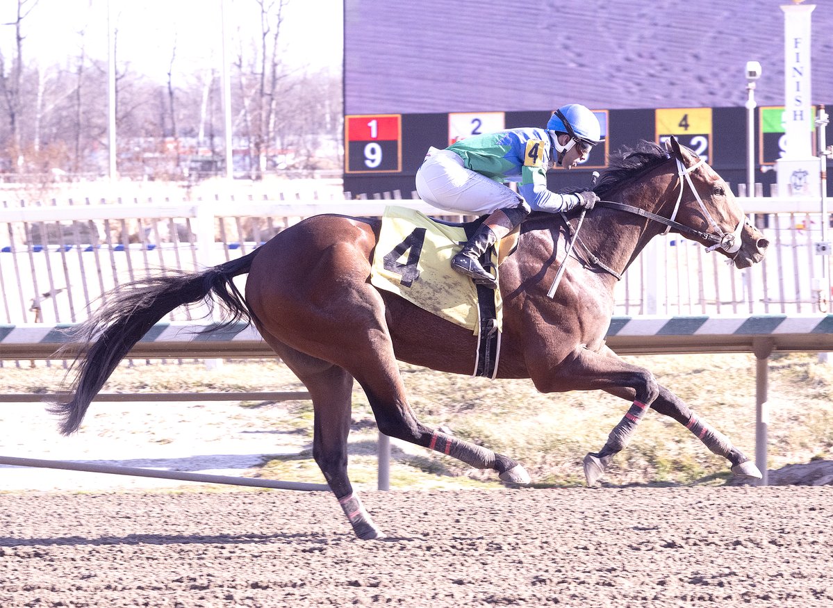 The Maryland Jockey Club, Inc. tweet media