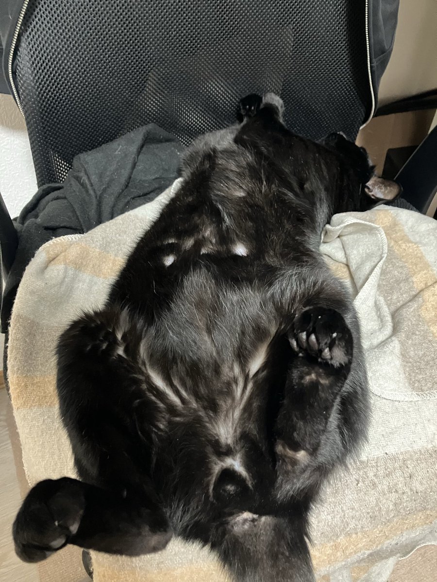 おはよー朝から良い