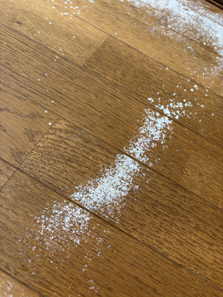 kucyansan's tweet photo. 有識者の方-！
お助け下さい🙏

ソファーの下の床が少しカビていたので、拭き取り掃除して最後にアルコールスプレーを吹きかけたらこんなになってしまいました😱😱

拭いても拭いても取れません

どうすればいいでしょうか？新しく上から床用塗料を塗るしかないんですかね https://t.co/lMV4UTQSvu