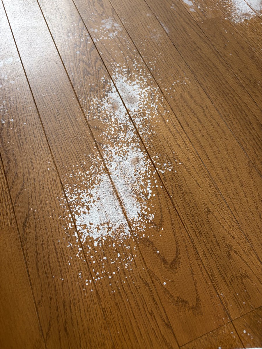 kucyansan's tweet photo. 有識者の方-！
お助け下さい🙏

ソファーの下の床が少しカビていたので、拭き取り掃除して最後にアルコールスプレーを吹きかけたらこんなになってしまいました😱😱

拭いても拭いても取れません

どうすればいいでしょうか？新しく上から床用塗料を塗るしかないんですかね https://t.co/lMV4UTQSvu