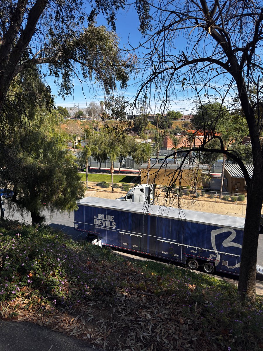 The Blue Devils ✨ tweet media