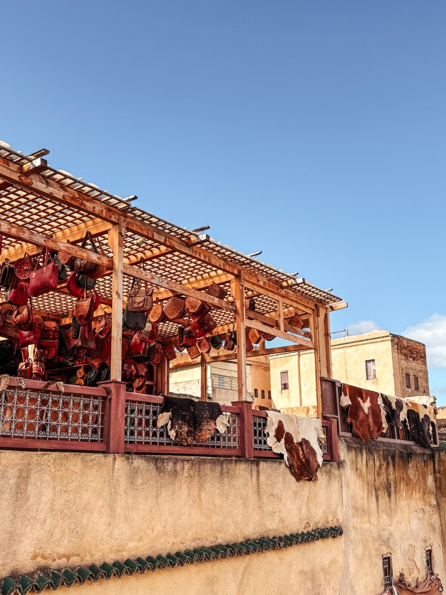 Eva de Vil tweet media