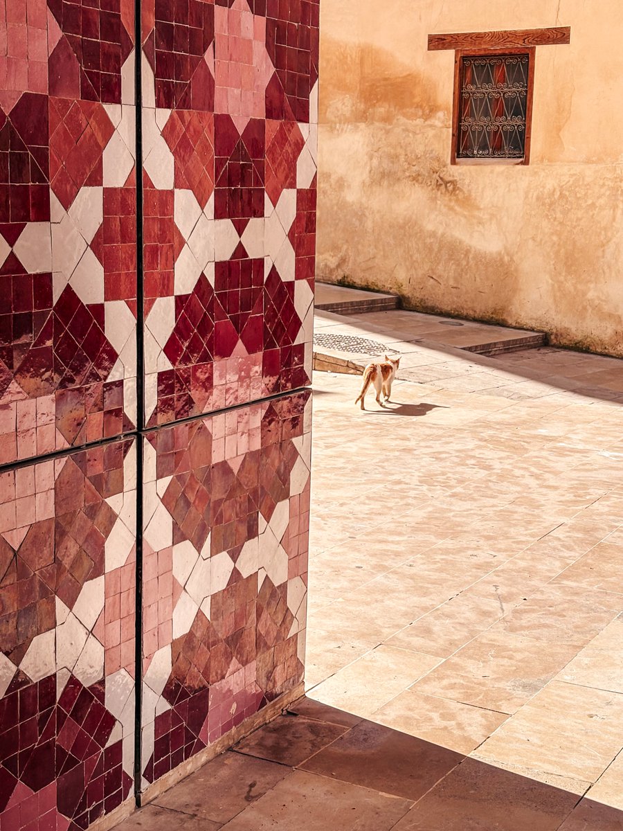 Eva de Vil tweet media