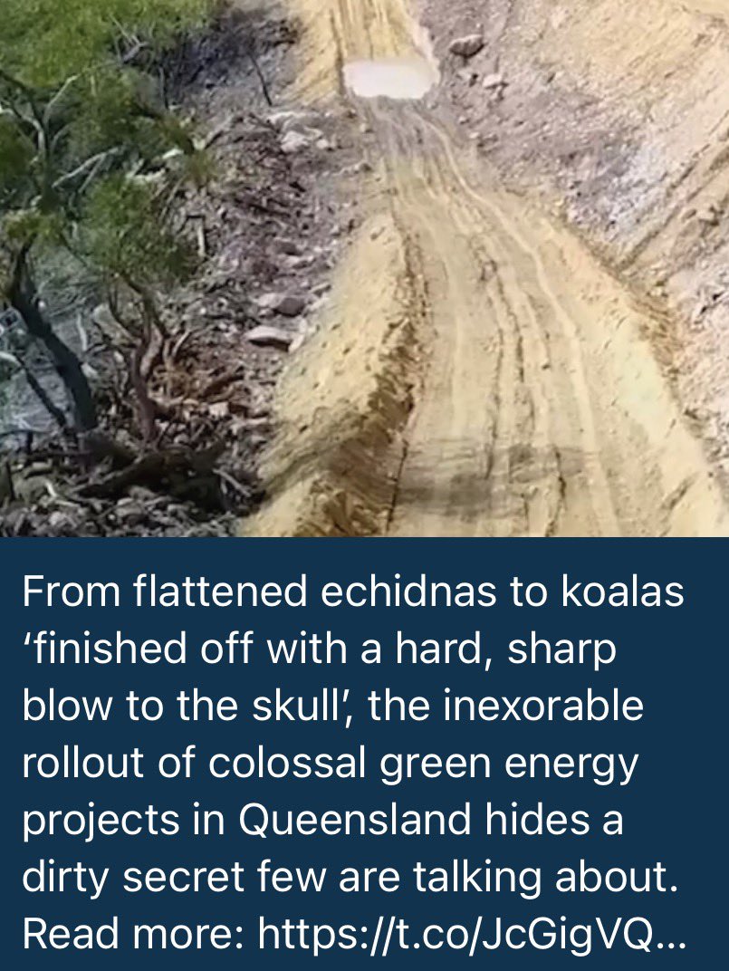 The heartbreaking destruction of the Australian natural environment continues.

The looney left  &amp; “Greens” support this atrocity and not only do they support it - these disgusting people profit from it. 

The Clinate Grift one of the most successful brainwashing exercises in
