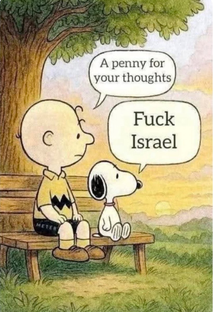 Shannon S tweet media