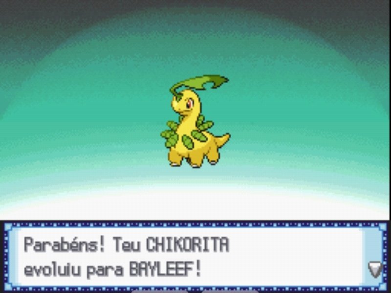 trainermateo's tweet photo. eles crescem tao rapidos 🥺 #Pokemon https://t.co/5kPz5UqvB8